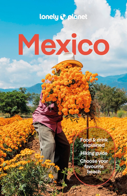 Couverture_Lonely Planet Mexico 19 19th Ed.