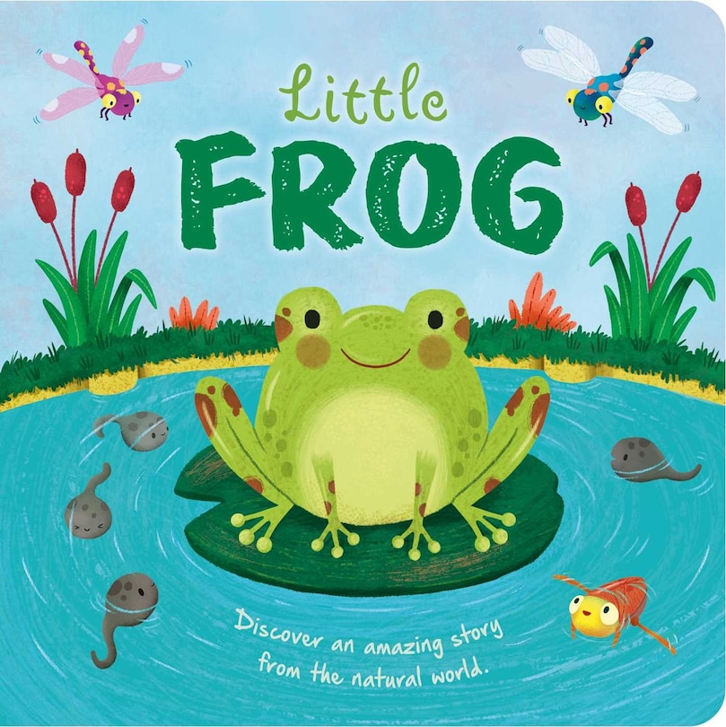 Front cover_Nature Stories: Little Frog-Discover an Amazing Story from the Natural World