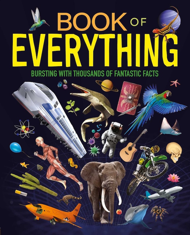 Couverture_Book of Everything