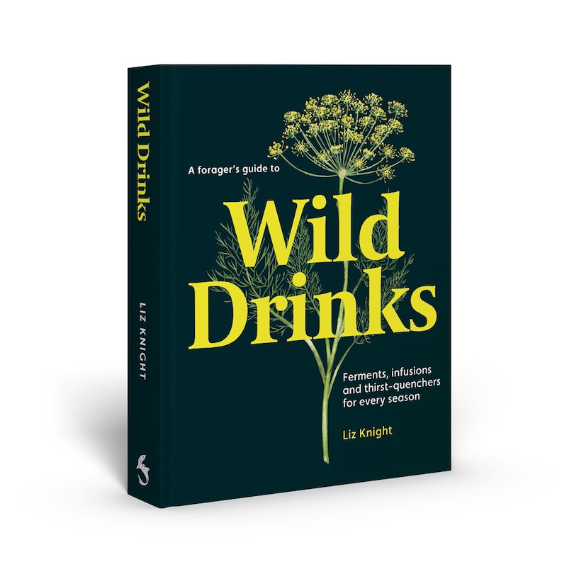 Front cover_A Forager's Guide to Wild Drinks