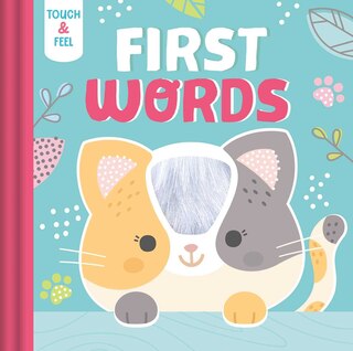 Front cover_Touch & Feel First Words