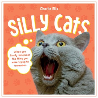 Couverture_Silly Cats