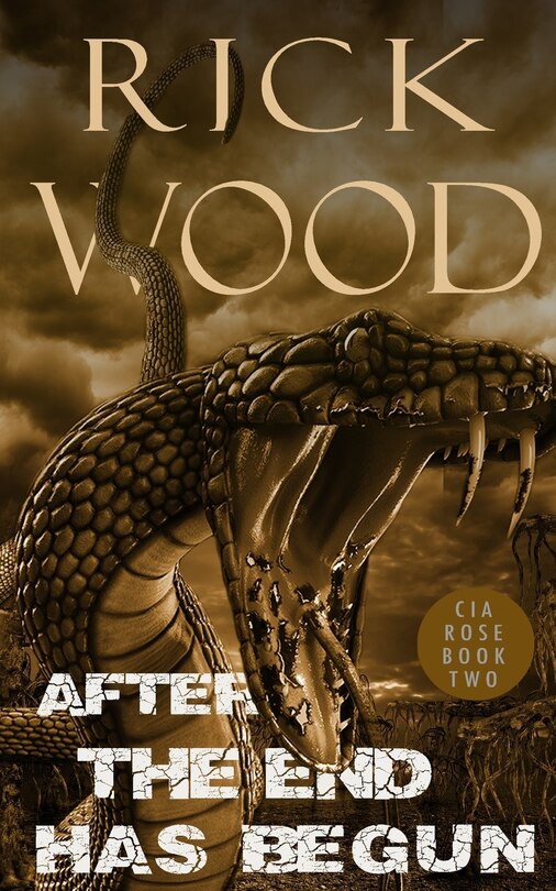 Front cover_After the End Has Begun