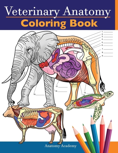 Front cover_Veterinary Anatomy Coloring Book