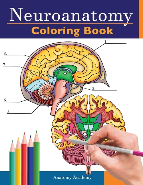 Front cover_Neuroanatomy Coloring Book