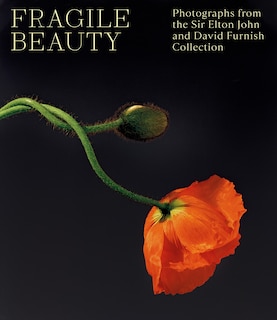 Front cover_Fragile Beauty