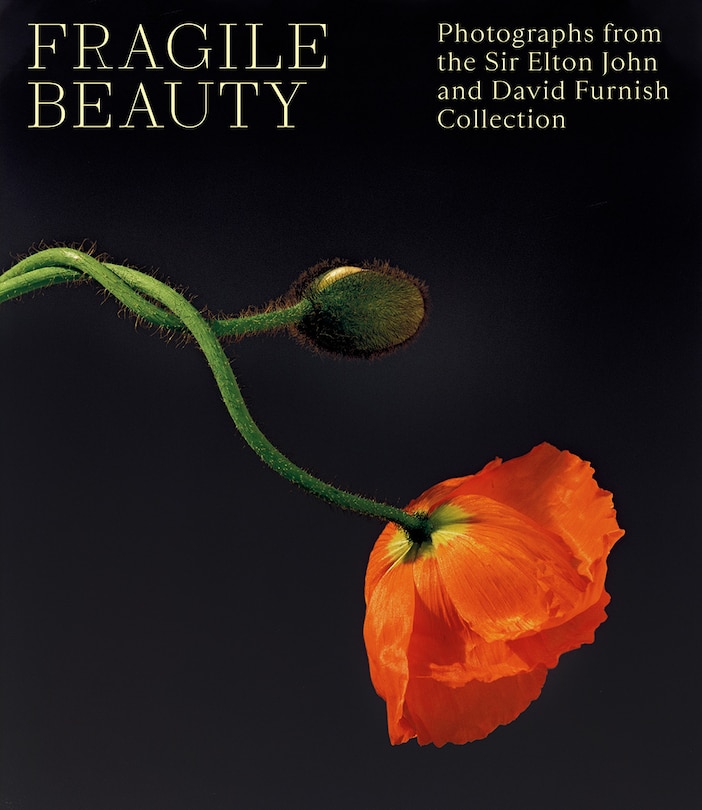 Front cover_Fragile Beauty