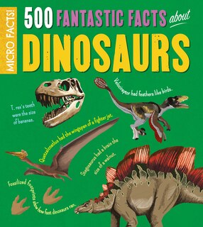 Couverture_Micro Facts!: 500 Fantastic Facts About Dinosaurs
