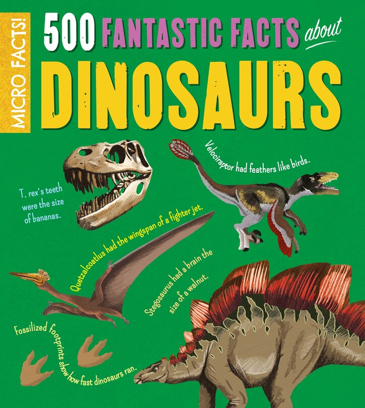 Couverture_Micro Facts!: 500 Fantastic Facts About Dinosaurs