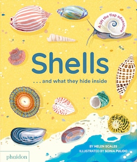 Front cover_Shells... and what they hide inside