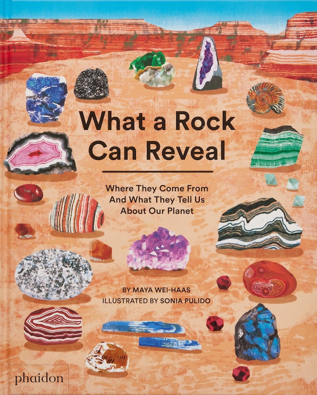 Front cover_What a Rock Can Reveal