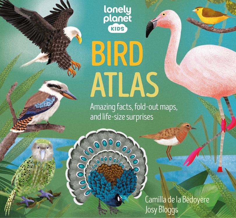 Lonely Planet Bird Atlas 1: Amazing facts, fold-out maps, and life-size surprises