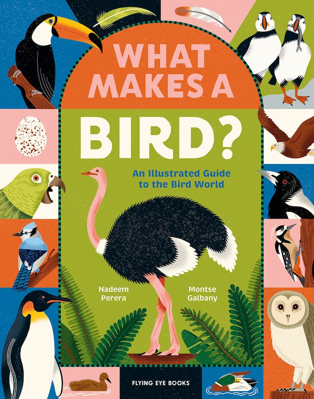 Front cover_What Makes a Bird?: An Illustrated Guide to the Bird World