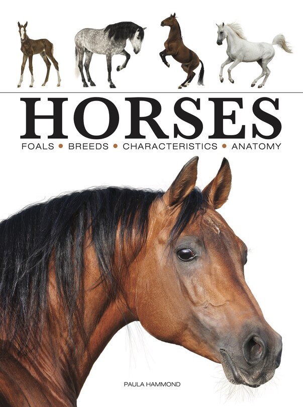 Couverture_Horses