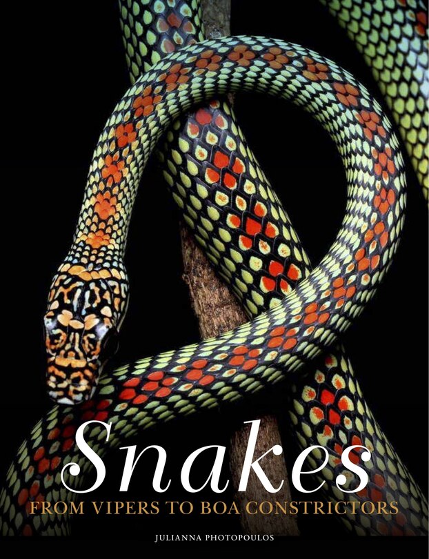 Couverture_Snakes