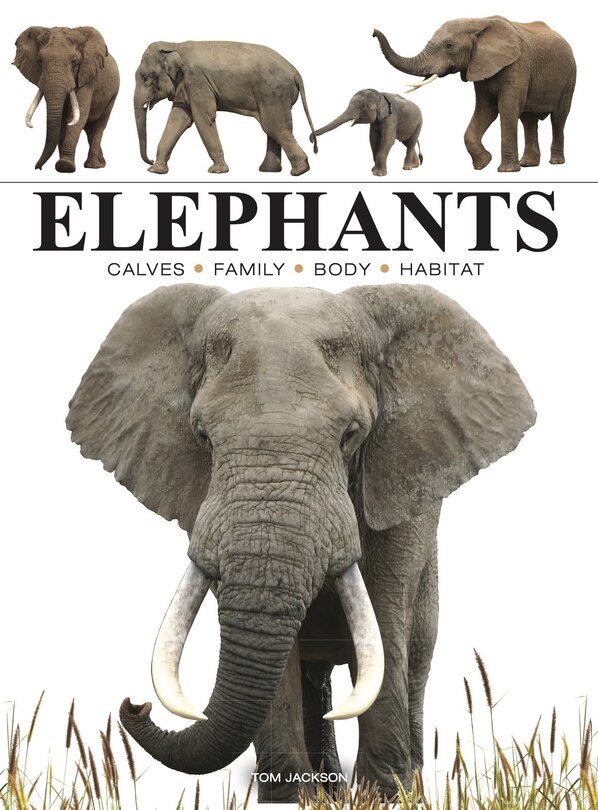 Front cover_Elephants