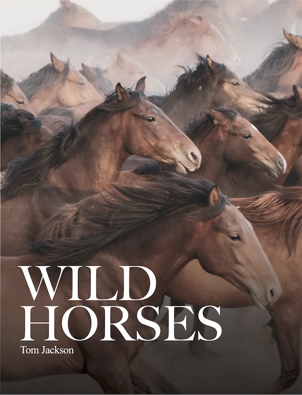 Front cover_Wild Horses