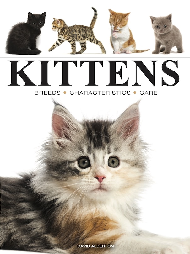Front cover_Kittens