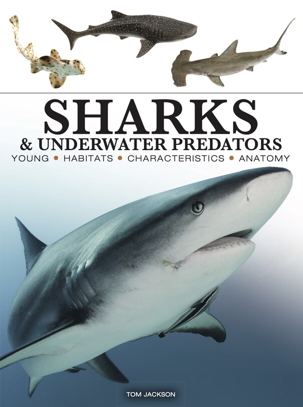 Front cover_Sharks & Underwater Predators
