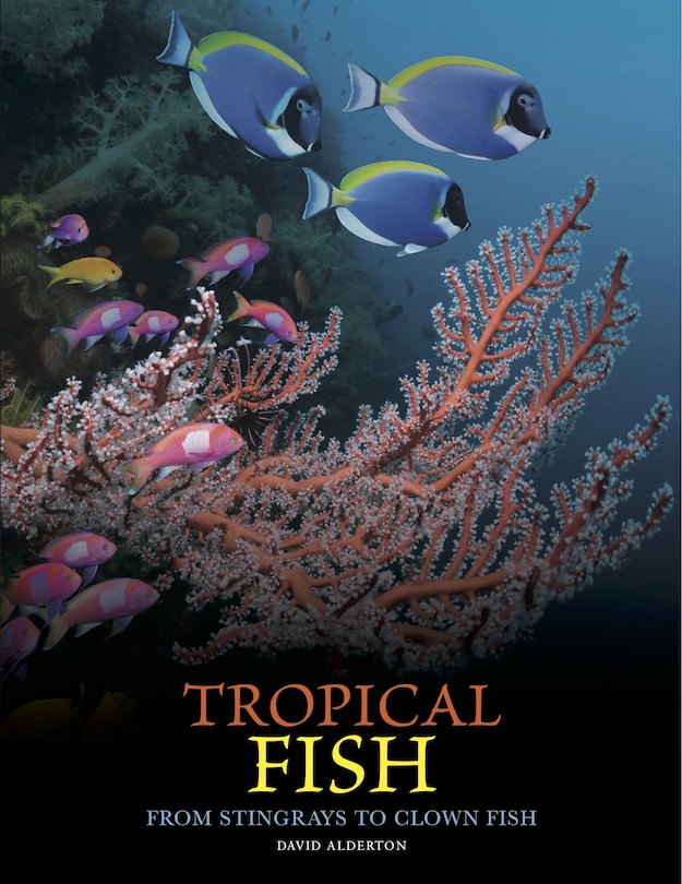Front cover_Tropical Fish