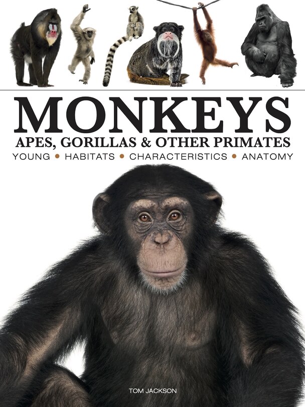 Front cover_Monkeys