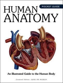Couverture_Human Anatomy