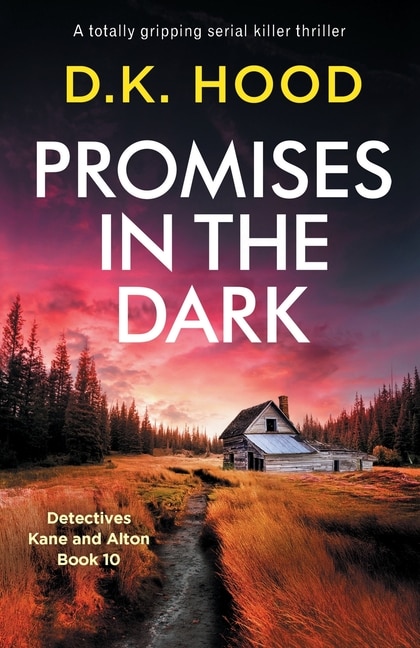 Couverture_Promises in the Dark