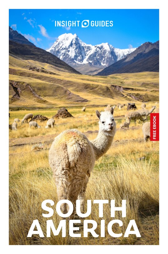 Couverture_Insight Guides South America: Travel Guide with eBook