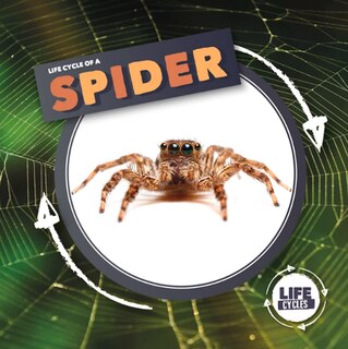 Front cover_Spider