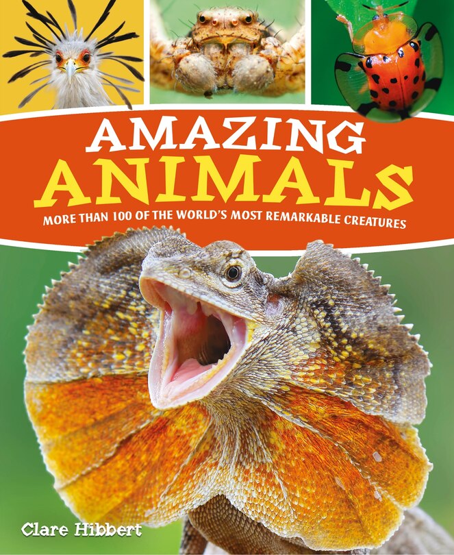 Front cover_Amazing Animals