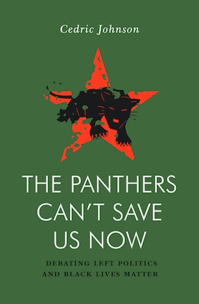 The Panthers Can't Save Us Now: Debating Left Politics And Black Lives Matter