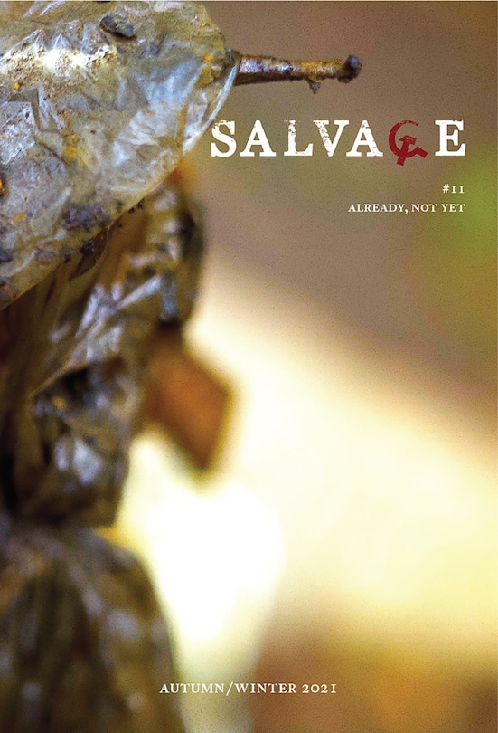 Couverture_Salvage #11