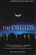 Front cover_A Brief History of The Druids
