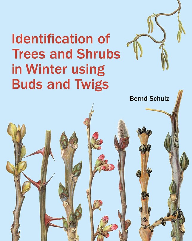 Front cover_Identification Of Trees And Shrubs In Winter Using Buds And Twigs