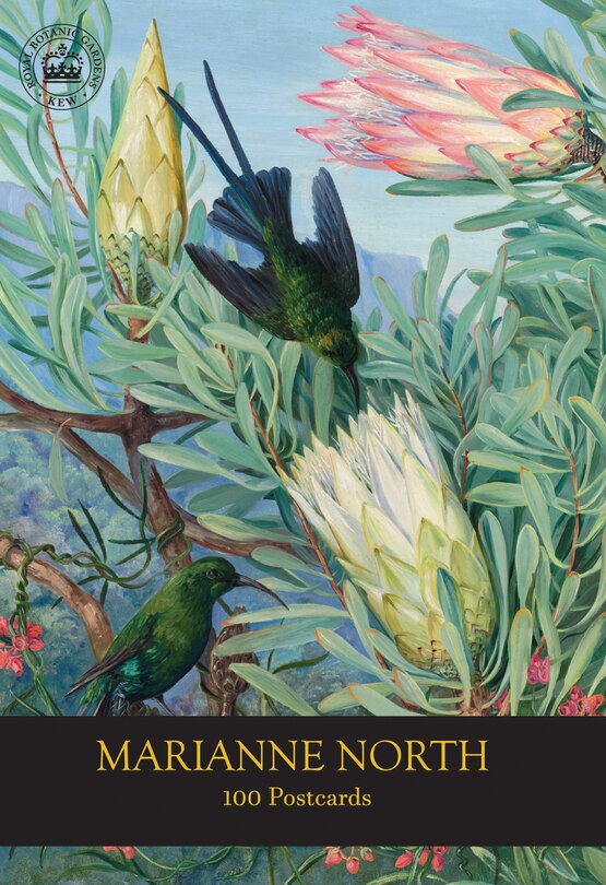 Front cover_Marianne North 100 Postcards