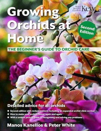 Growing Orchids at Home: The beginner’s guide to orchid care