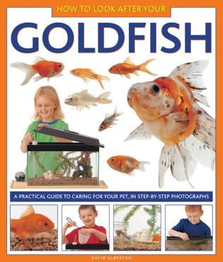 How To Look After Your Goldfish: A Practical Guide To Caring For Your Pet, In Step-by-step Photographs