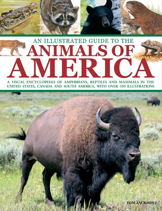Couverture_Illustrated Guide To The Animals of America