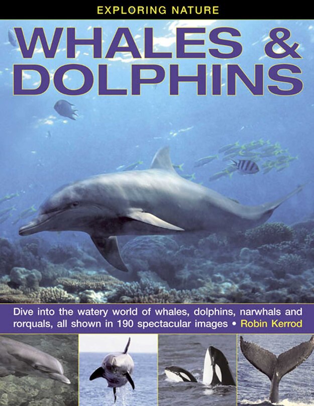 Front cover_Exploring Nature: Whales & Dolphins