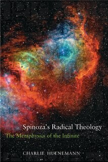 Front cover_Spinoza's Radical Theology