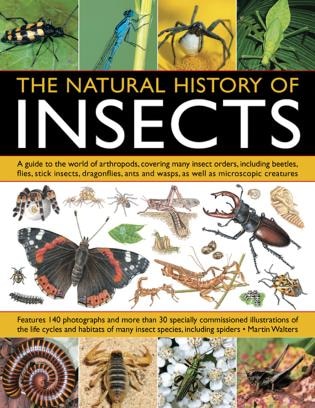 Couverture_The Natural History Of Insects