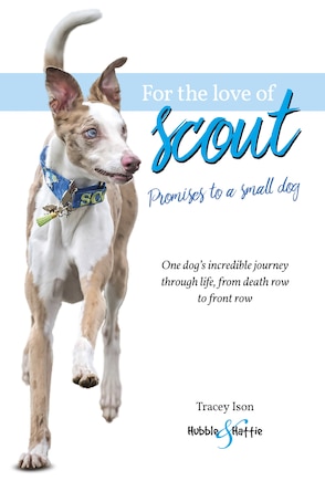 For The Love Of Scout: Promises To A Small Dog