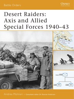Couverture_Desert Raiders
