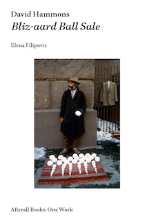 Front cover_David Hammons