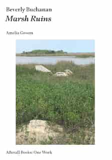 Beverly Buchanan: Marsh Ruins by Amelia Groom