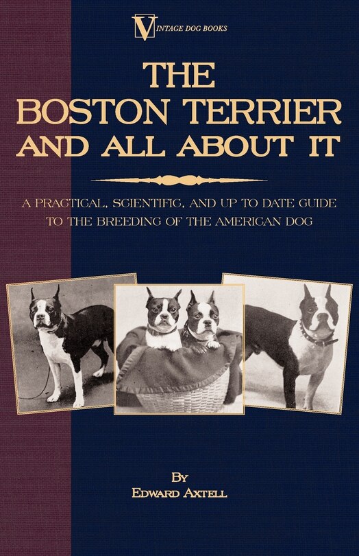 Front cover_The Boston Terrier and All about It: A Practical, Scientific, and Up to Date Guide to the Breeding of the American Dog