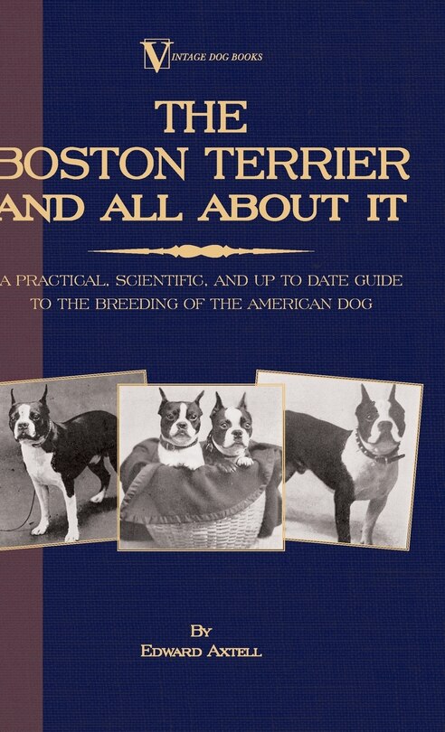 Front cover_The Boston Terrier And All About It - A Practical, Scientific, And Up To Date Guide To The Breeding Of The American Dog (A Vintage Dog Books Breed Classic)