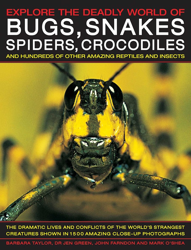 Front cover_Explore the Deadly World of Bugs, Snakes, Spiders & Crocodiles