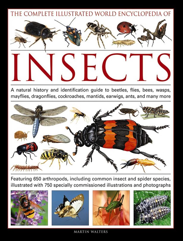Couverture_The Complete Illustrated World Encyclopedia of Insects