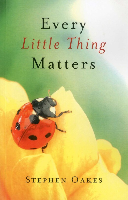 Front cover_Every Little Thing Matters